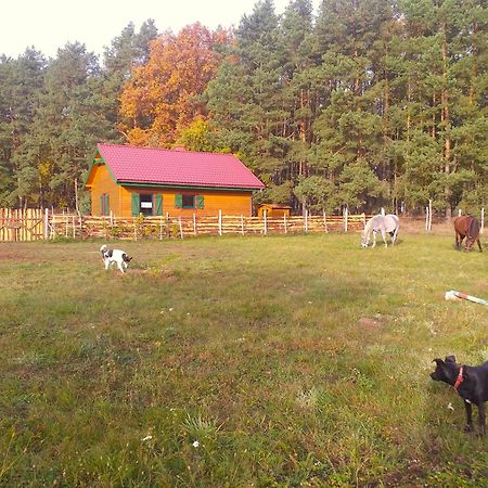 Agroturystyka Polana Harmonii Przytoczna 外观 照片